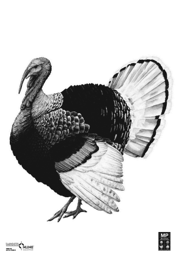 Large Turkey (body) - Card Stock - Click Image to Close